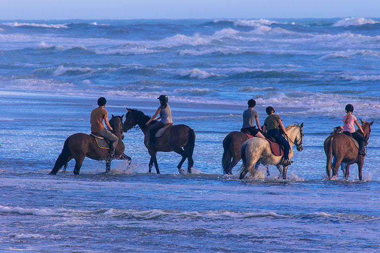 sortie équestre à la mer