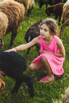 animaux de la ferme